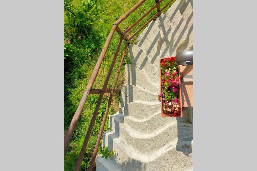 Villa Con Piscina 10 Posti Letto, L'Oliveta Di Rivalto Chianni Εξωτερικό φωτογραφία