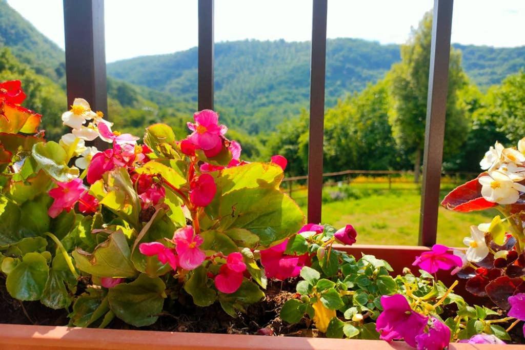 Villa Con Piscina 10 Posti Letto, L'Oliveta Di Rivalto Chianni Εξωτερικό φωτογραφία