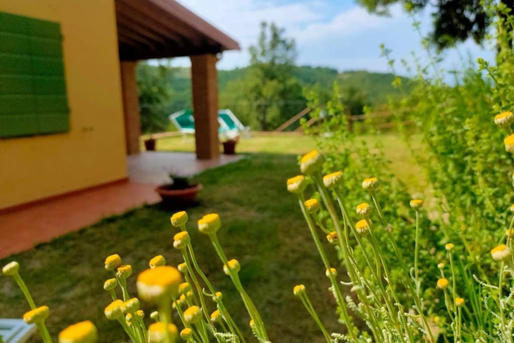 Villa Con Piscina 10 Posti Letto, L'Oliveta Di Rivalto Chianni Εξωτερικό φωτογραφία