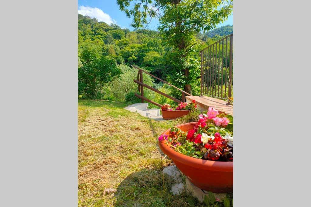Villa Con Piscina 10 Posti Letto, L'Oliveta Di Rivalto Chianni Εξωτερικό φωτογραφία